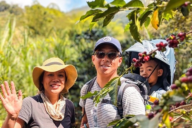 Authentic Medellin Coffee Tour & Cultural Experience