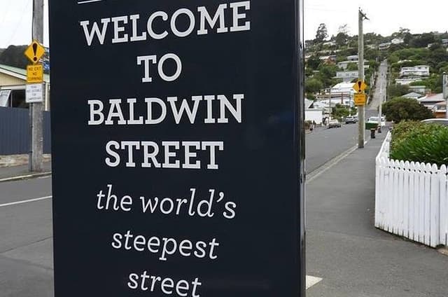A 2 hour Small Group Dunedin City Highlights Tour