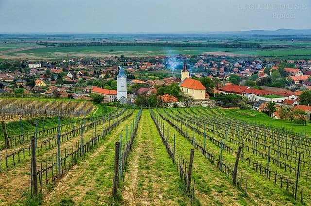 Tokaj Full Day Private Wine Tour from Budapest