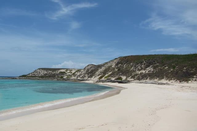 Gibbs Cay Stingray & Conch Cultural Experience