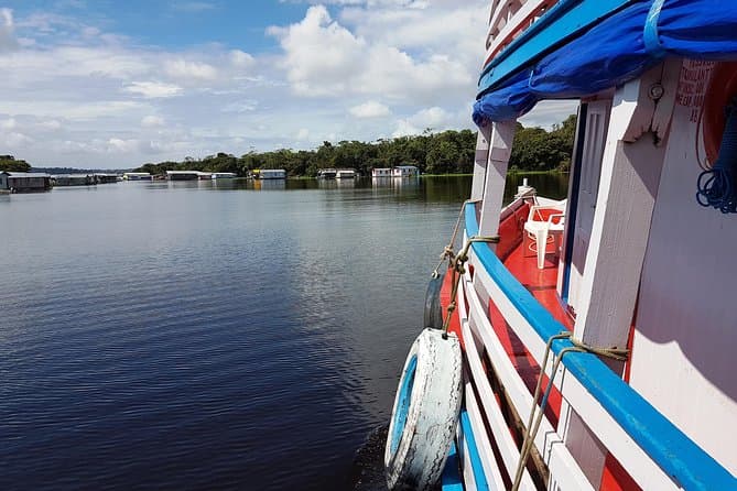 Best Amazon River Tours: Manaus Jungle Adventures