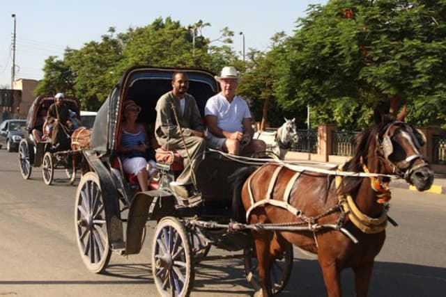 Aswan City Tour By Horse And Carriage
