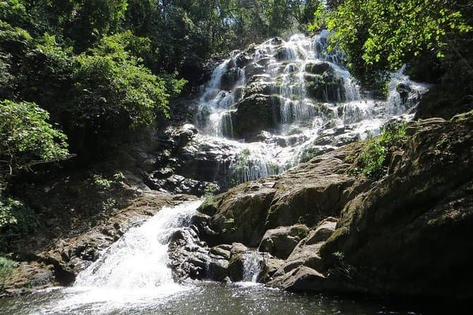 Best Mikumi & Udzungwa Safari Tours from Dar es Salaam