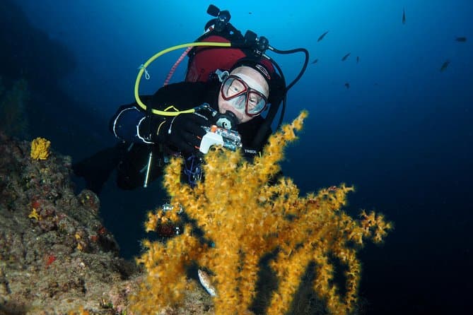 Puerto del Carmen Snorkeling