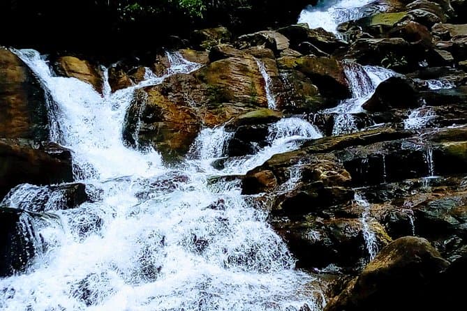 Compare Sinharaja Rainforest Tours from Bentota