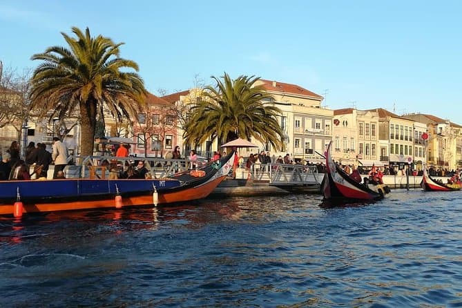 Private Transfers: Travel from Lisbon to Porto in Comfort