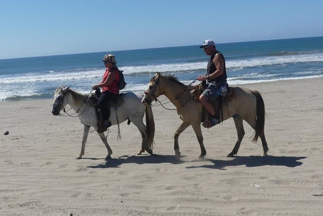 Compare Best Acapulco Horseback Rides