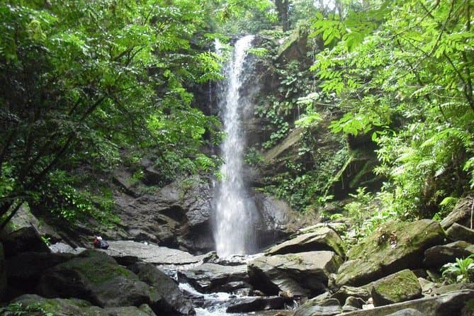 Aripo Waterfall Adventure Travel Guide, Trinidad & Tobago