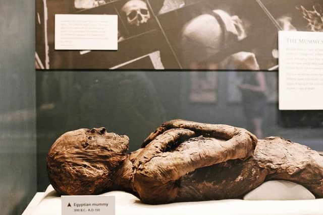 Smithsonian Museum of Natural History - Exclusive Guided Tour