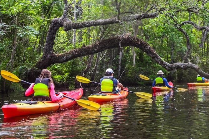 Top-Rated Lofton Creek Kayak Tours Jacksonville
