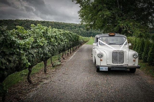 Niagara-on-the-Lake Wine Tour with Lunch -Private Tour in Classic English Cab