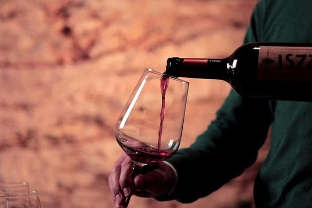 Guided tour and tasting at La Cantina Frrud - Wine Museum
