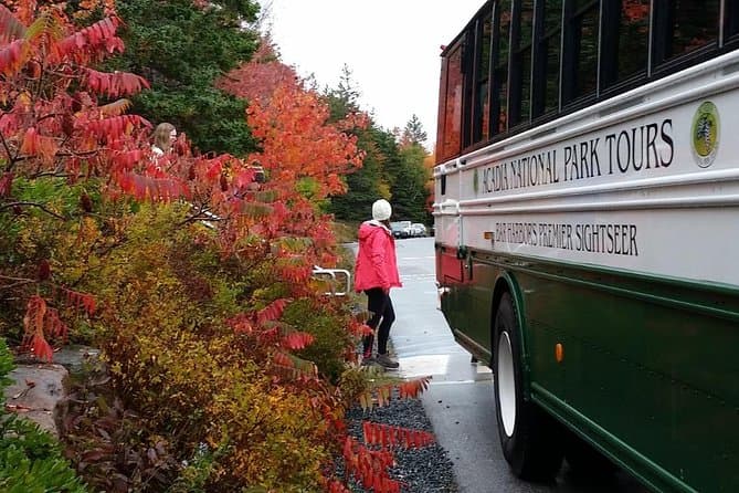 Best Acadia National Park Tours & Bar Harbor Adventures