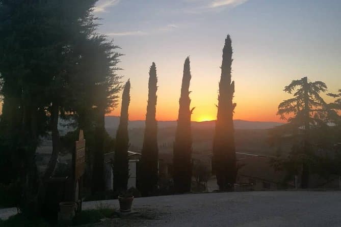 Arezzo to Montalcino: Brunello Wine Experience