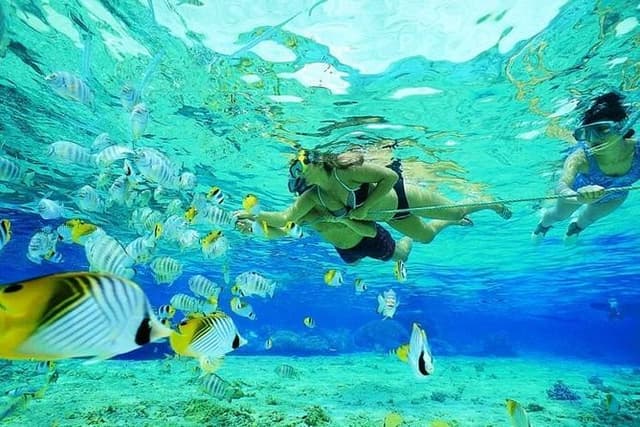 Catamaran Adventure Full Day: Ile aux cerfs,GRSE Waterfall,Snorkeling &BBQ Lunch