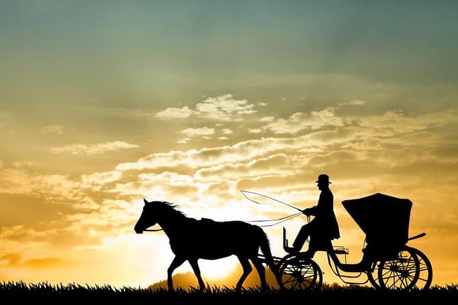 Authentic Aswan Horse Carriage Tours & Local Sightseeing