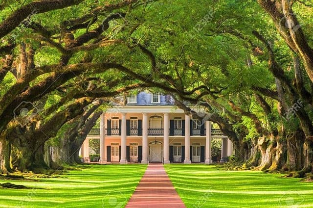Oak Alley Private Tour