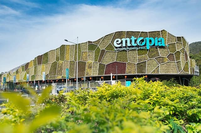 Discover Penang: City Landmarks, Ferringhi Beach & Entopia Fun