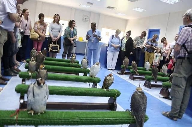 Falcon Tour Abu Dhabi With Hotel Pickup And Drop Off 