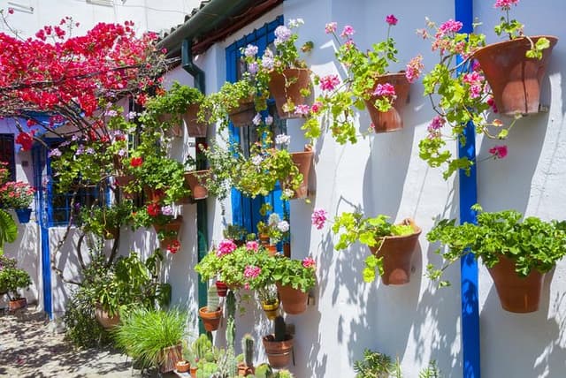 Authentic Patios of Cordoba Guided Tour