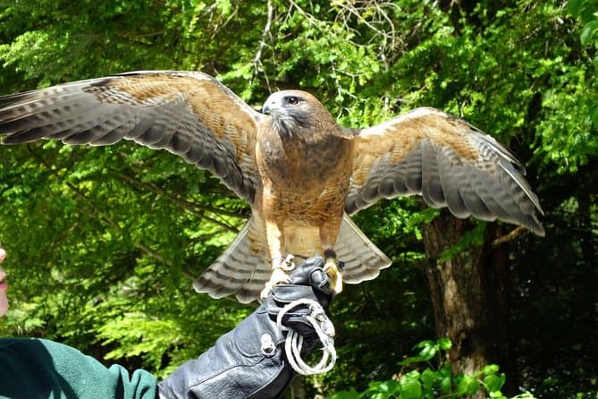 Best Sitka Scenic Tours & Activities