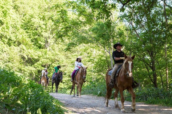 Best Horse Riding Tours in Sapporo