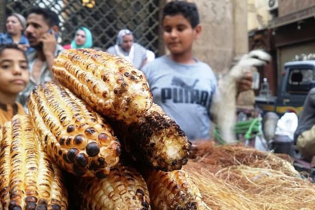 Cairo Layover Tour Pyramids, Sphinx, Islamic Cairo, & bazaar