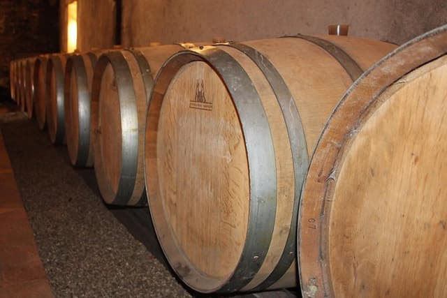 From Angers - Anjou Vineyards in Minivan