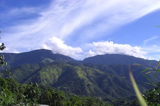 Jamaica's Blue Mountain Hike & Coffee Tour from Runaway Bay