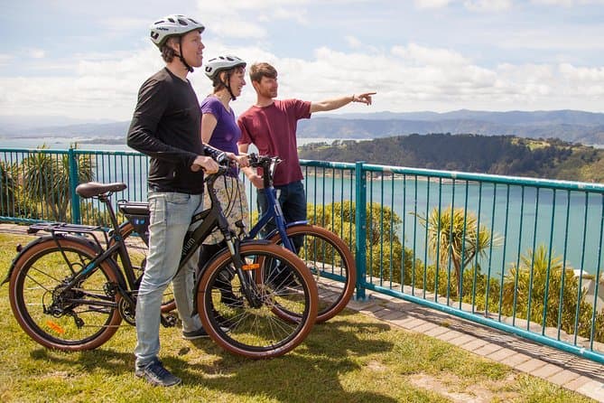 Best Electric Bike Tours in Wellington, New Zealand