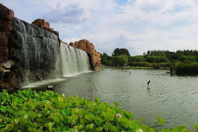 Small-Group Tour in Summer: Harbin Sun Island, Indoor Ice and Snow World