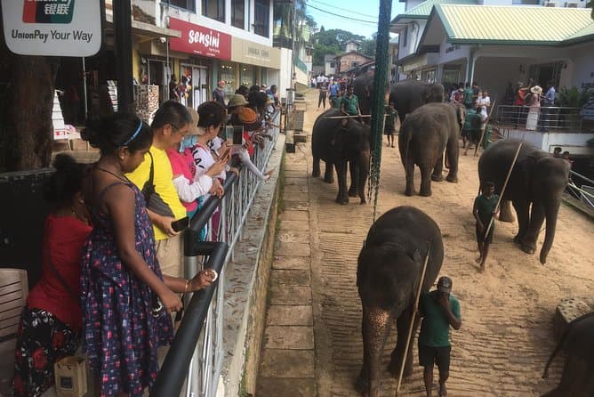 Colombo Private Tour: Sri Lanka’s Best Highlights