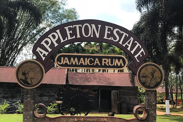 Appleton Rum Factory, YS Falls, and Reggae Horseback Ride & Swim Combo Tour