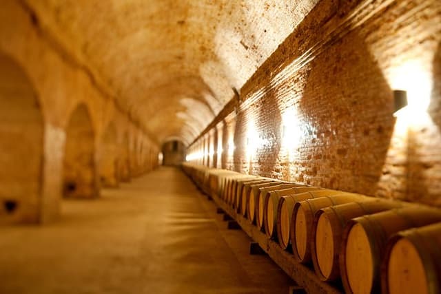 Traditional Wine Tour in Viña Cousiño Macul Official English