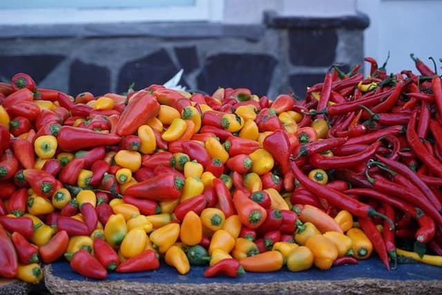 Bites of History & Gastronomy–Athens Food & Culture Walking Tour