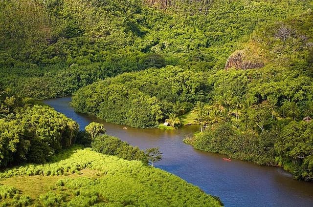 Day Trip from Oahu to Kauai: Waimea Town & Fern Grotto w/ Airfare
