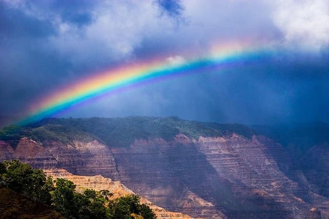 Kauai: Waimea Canyon and Koke'e Tour