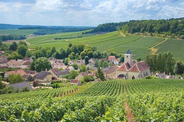 Private Champagne tour from Paris