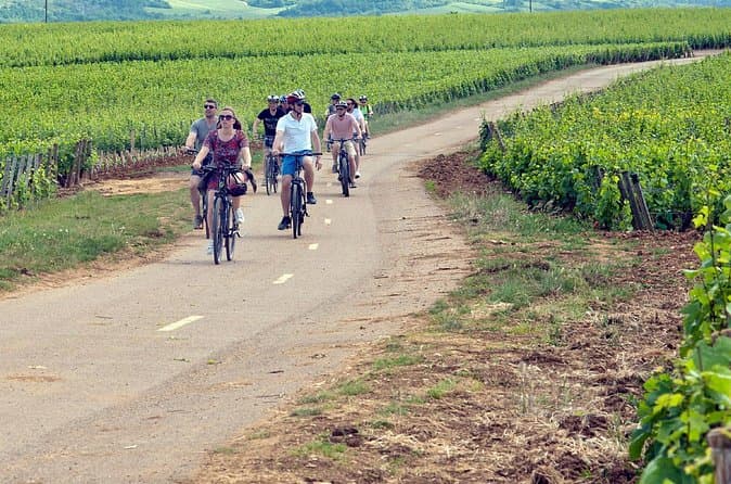 Best Côte de Beaune Wine Tours from Dijon