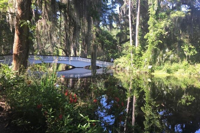Explore Historic Magnolia Plantation Tours