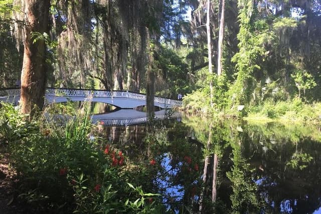 Magnolia Plantation Admission & Tour with Transportation from Charleston