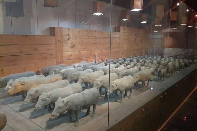 Private Day Trip to Terracotta Warriors and Jingdis Tomb