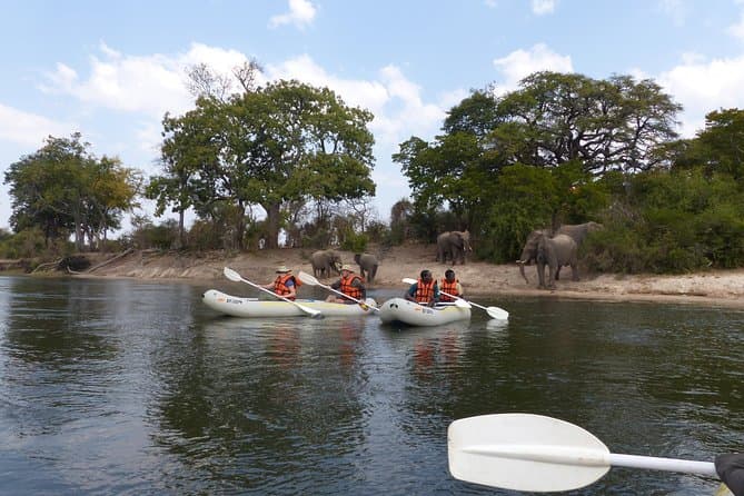 Best Zambezi River Rafting Tours & Deals