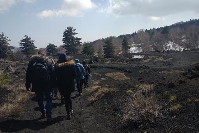 Mount Etna Half-Day Small Group Tour from Taormina