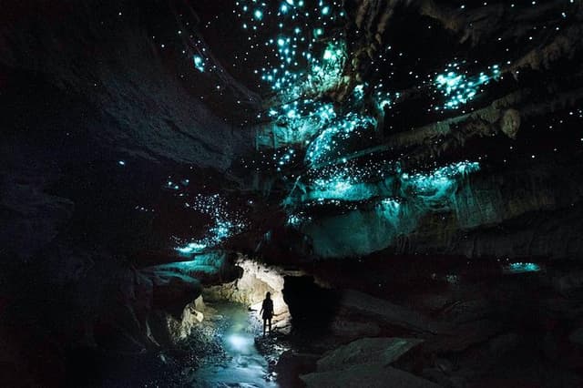 Waitomo’s Hidden Gem: Off the Beaten Track Glowworm Cave Tour