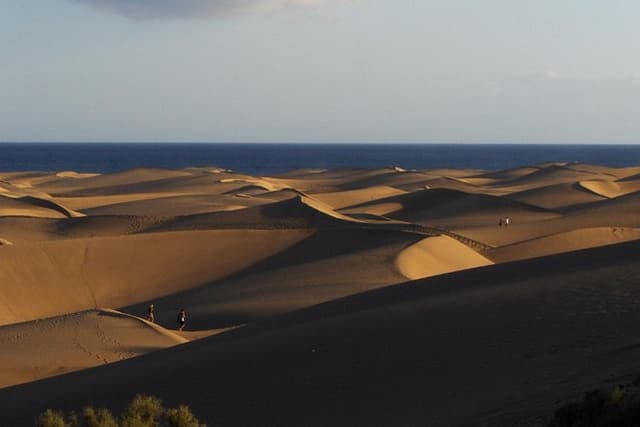 Rent e-Scooter 2 seater from 1 untill 4 Hour : Explore Maspalomas