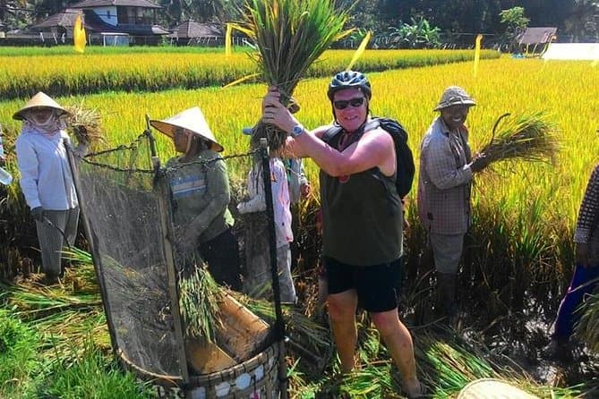 Best Ubud Downhill Cycling: Epic Bali Mountain Bike Tours