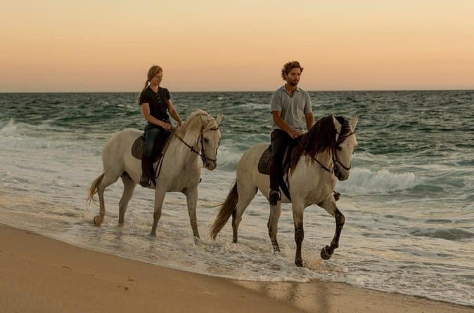 Best Guided Horseback Rides in Comporta