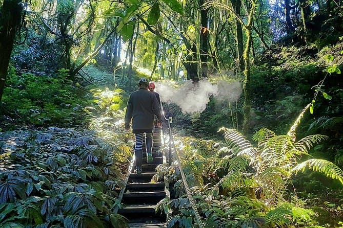 Top-Rated Waitomo Cave Experiences