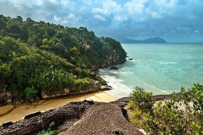 Best Bako National Park Tours & Wildlife Adventures in Kuching